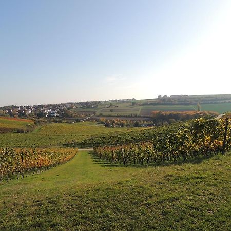 Hotel Weingut Seck à Dolgesheim Extérieur photo