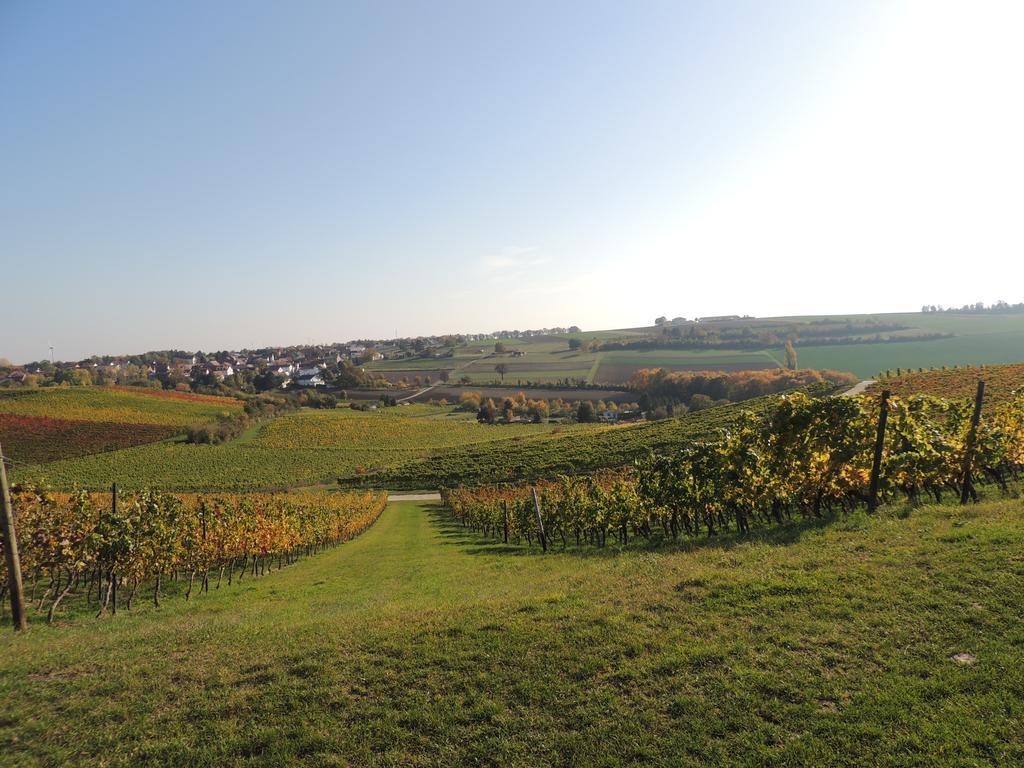 Hotel Weingut Seck à Dolgesheim Extérieur photo